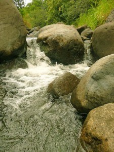 Iao Valley stream