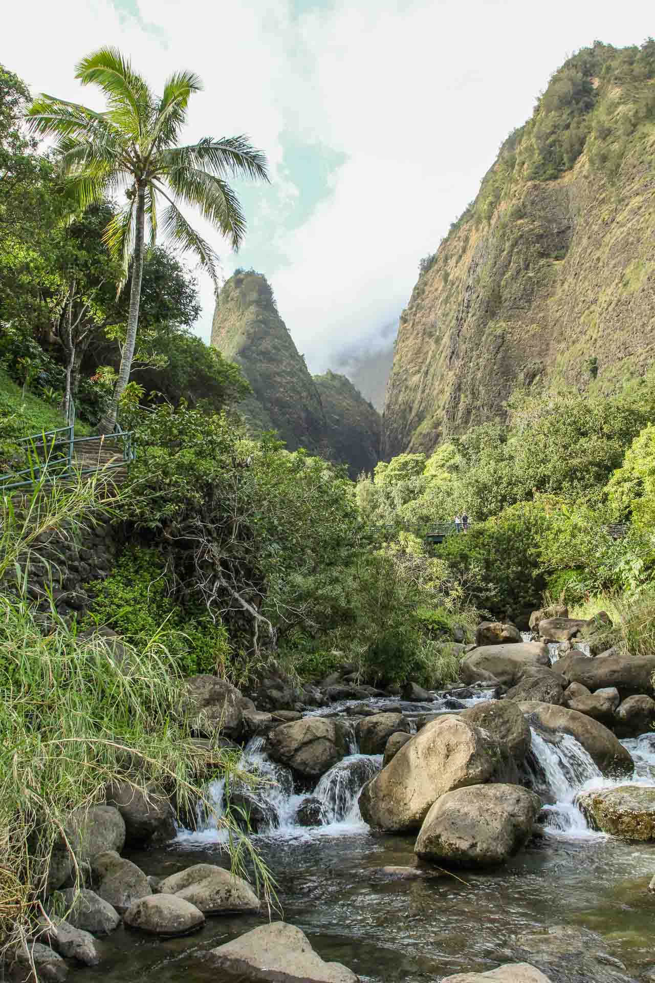 Image result for igneous rocks iao valley