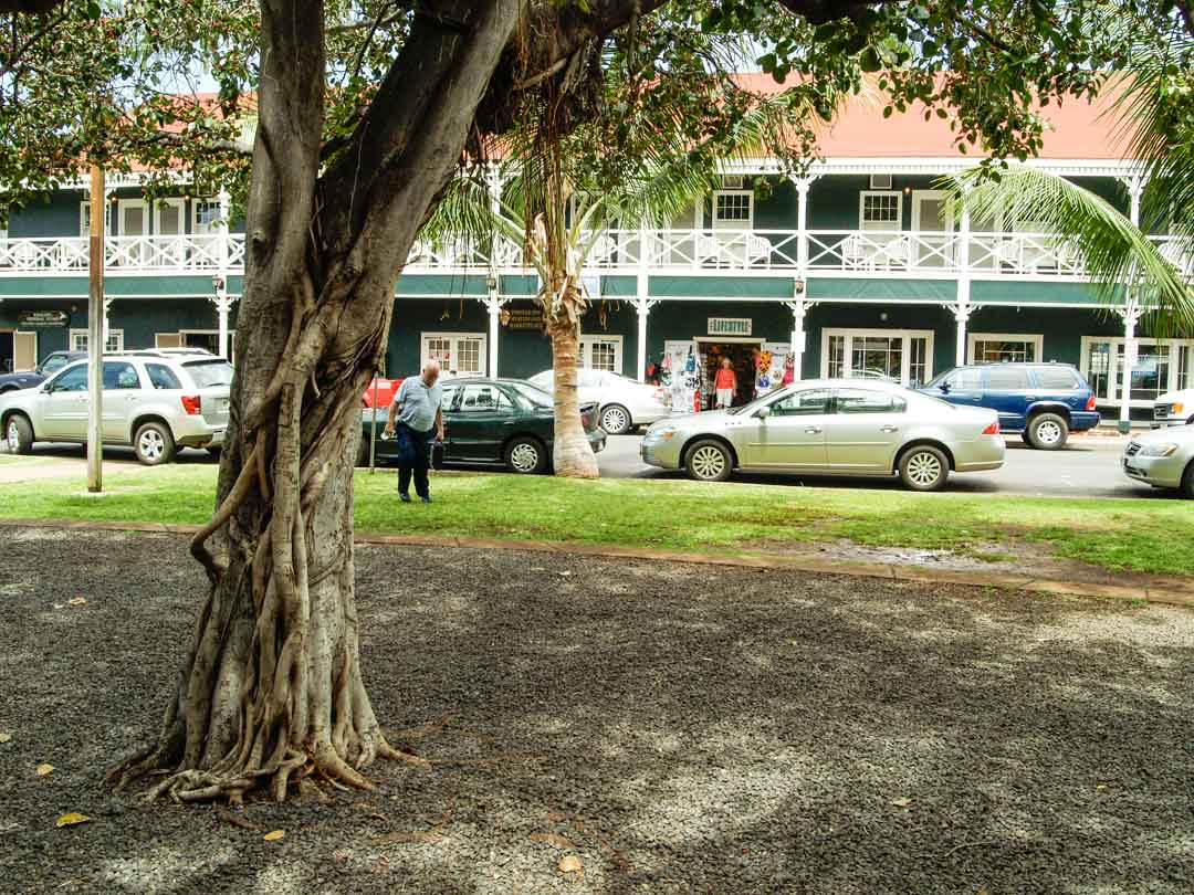 lahaina downtown