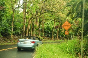 rainforest-convertible-hana