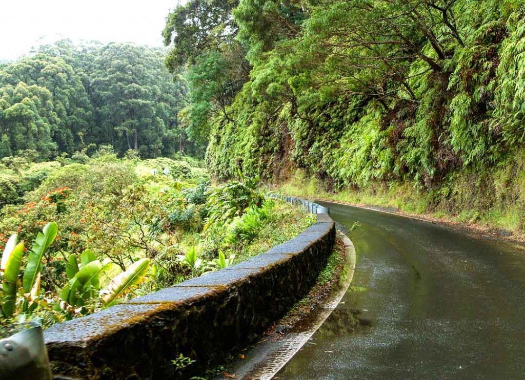 road to hana bike tour