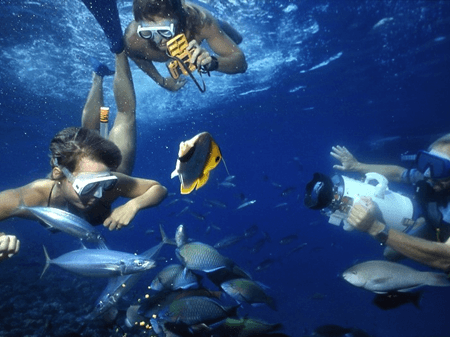 snorkeling-molokini