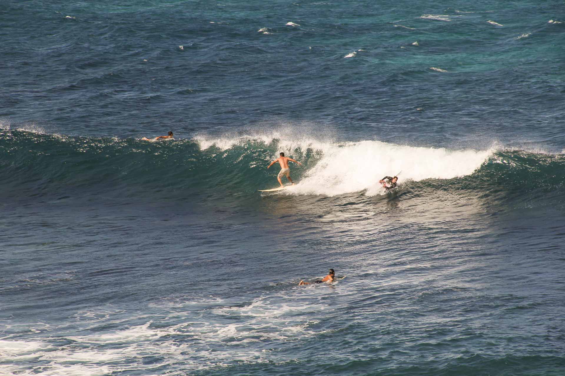 surfing-boogie-board-wave-hookipa